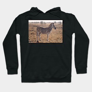 Zebra Hoodie